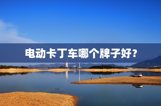 电动卡丁车哪个牌子好？