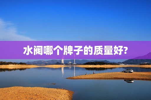 水阀哪个牌子的质量好?