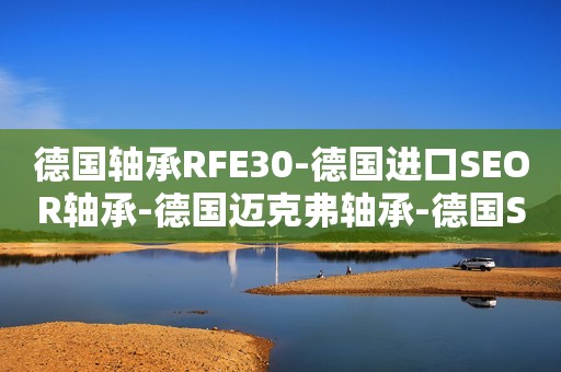 德国轴承RFE30-德国进口SEOR轴承-德国迈克弗轴承-德国SEOR进口轴承