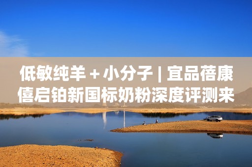 低敏纯羊＋小分子 | 宜品蓓康僖启铂新国标奶粉深度评测来了！