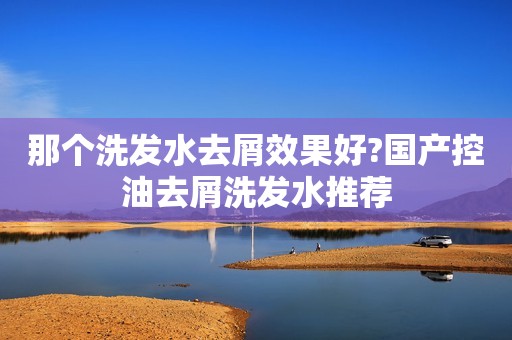 那个洗发水去屑效果好?国产控油去屑洗发水推荐