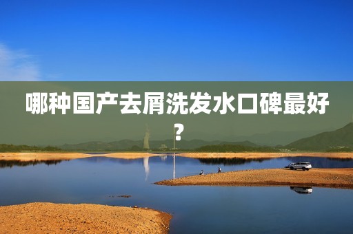 哪种国产去屑洗发水口碑最好？