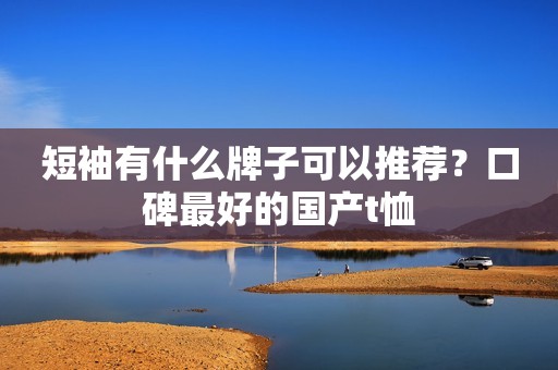 短袖有什么牌子可以推荐？口碑最好的国产t恤