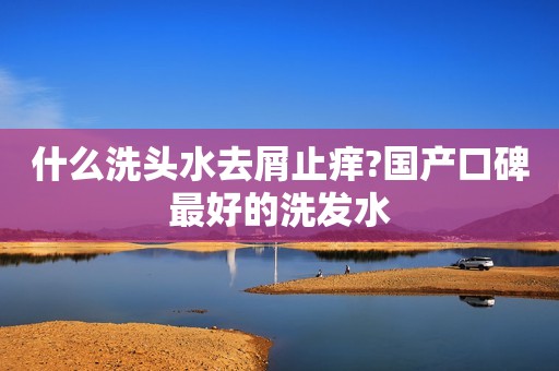 什么洗头水去屑止痒?国产口碑最好的洗发水