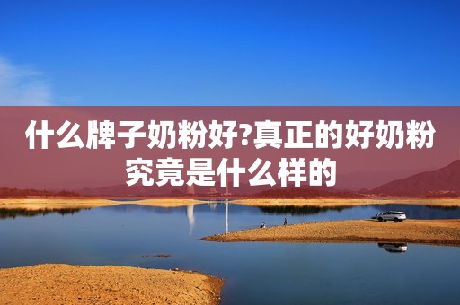 什么牌子奶粉好?真正的好奶粉究竟是什么样的