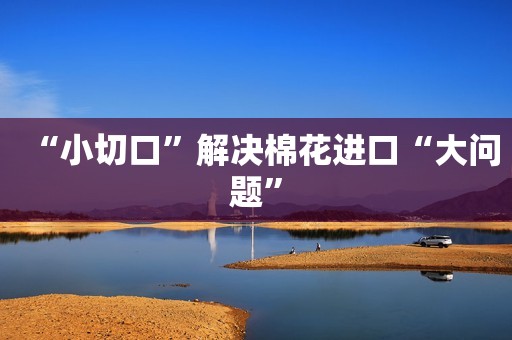 “小切口”解决棉花进口“大问题”