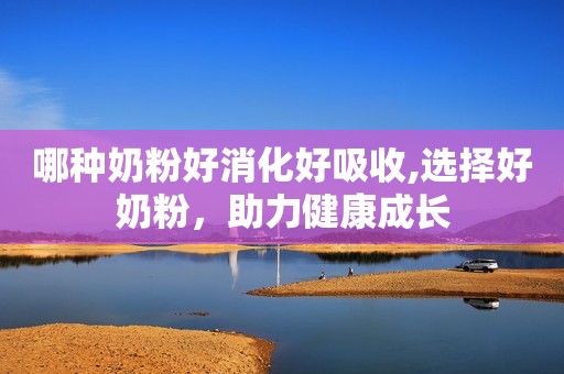 哪种奶粉好消化好吸收,选择好奶粉，助力健康成长