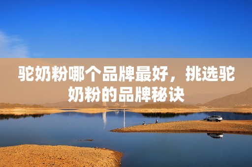 驼奶粉哪个品牌最好，挑选驼奶粉的品牌秘诀