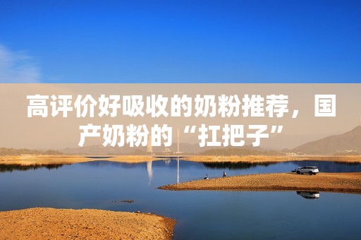 高评价好吸收的奶粉推荐，国产奶粉的“扛把子”