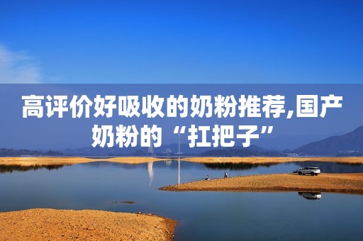高评价好吸收的奶粉推荐,国产奶粉的“扛把子”