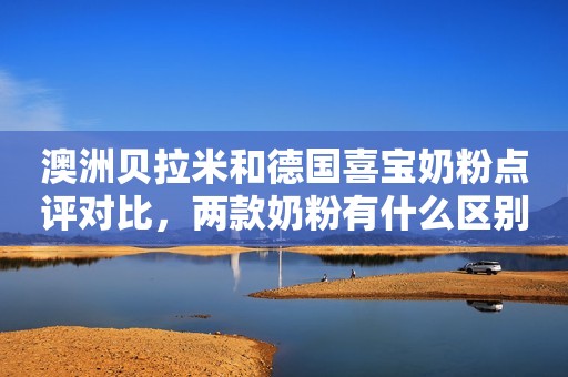 澳洲贝拉米和德国喜宝奶粉点评对比，两款奶粉有什么区别？