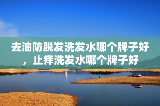 去油防脱发洗发水哪个牌子好，止痒洗发水哪个牌子好