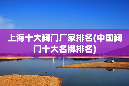 上海十大阀门厂家排名(中国阀门十大名牌排名)