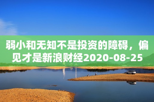 弱小和无知不是投资的障碍，偏见才是新浪财经2020-08-25 19:00新浪财经2020-08-25 19:00