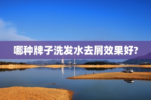 哪种牌子洗发水去屑效果好?