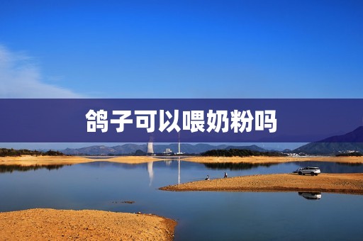 鸽子可以喂奶粉吗