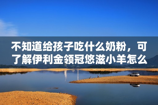不知道给孩子吃什么奶粉，可了解伊利金领冠悠滋小羊怎么样？