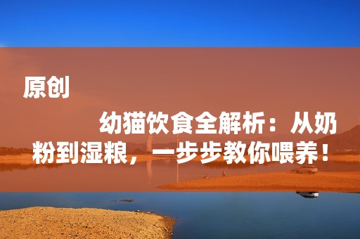 原创
            幼猫饮食全解析：从奶粉到湿粮，一步步教你喂养！
