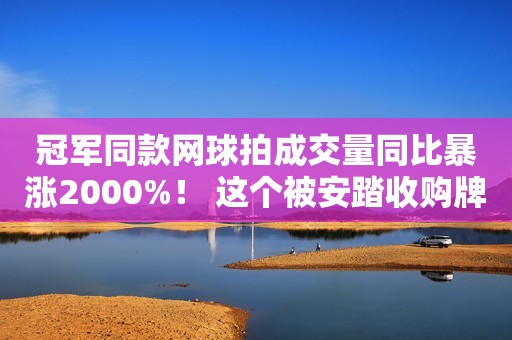 冠军同款网球拍成交量同比暴涨2000%！ 这个被安踏收购牌子能借势火起来吗？