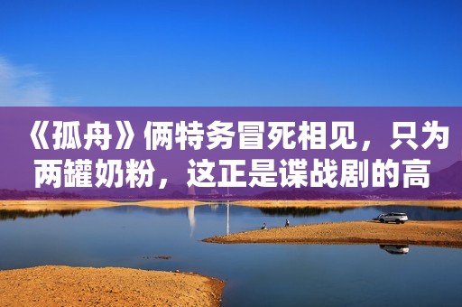 《孤舟》俩特务冒死相见，只为两罐奶粉，这正是谍战剧的高级