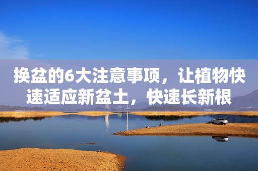 详细阅读:换盆的6大注意事项,让植物快速适应新盆土,快速长新根 换盆的6大注意事项,让植物快速适应新盆土,快速长新根