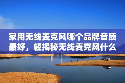 家用无线麦克风哪个品牌音质最好，轻揭秘无线麦克风什么牌子的好
