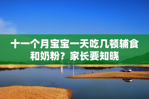 十一个月宝宝一天吃几顿辅食和奶粉？家长要知晓
