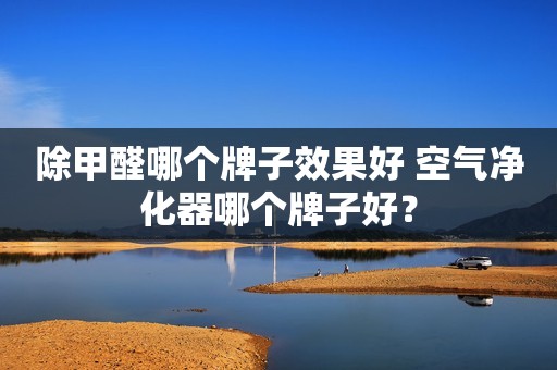 除甲醛哪个牌子效果好 空气净化器哪个牌子好？