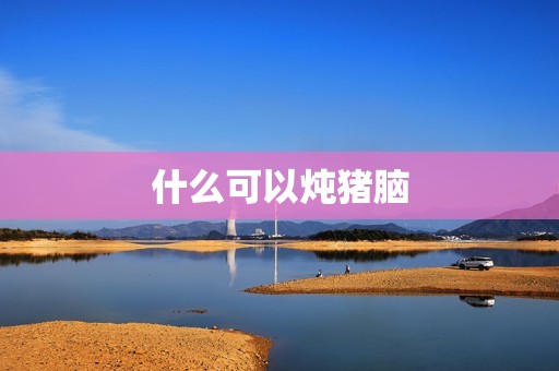 什么可以炖猪脑