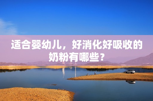 适合婴幼儿，好消化好吸收的奶粉有哪些？