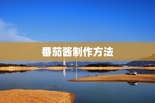 番茄酱制作方法