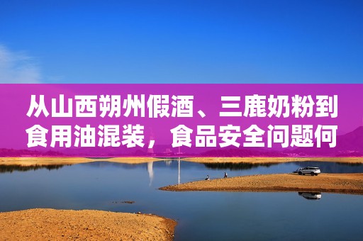 从山西朔州假酒、三鹿奶粉到食用油混装，食品安全问题何时了？