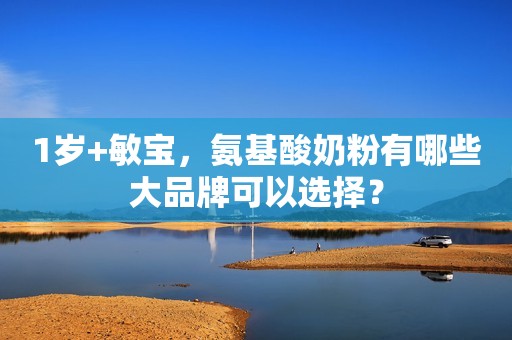 1岁+敏宝，氨基酸奶粉有哪些大品牌可以选择？