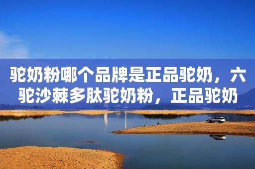 驼奶粉哪个品牌是正品驼奶，六驼沙棘多肽驼奶粉，正品驼奶的代表