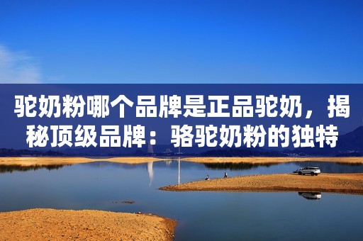 驼奶粉哪个品牌是正品驼奶，揭秘顶级品牌：骆驼奶粉的独特魅力