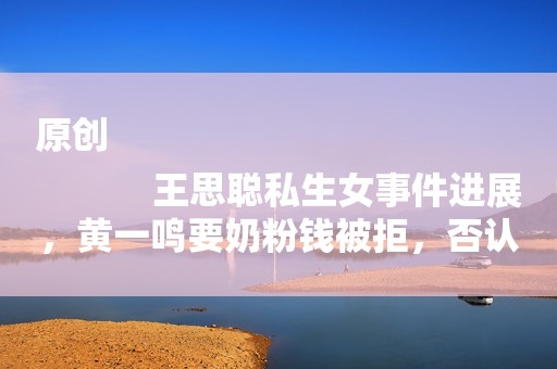 原创
            王思聪私生女事件进展，黄一鸣要奶粉钱被拒，否认女儿是私生女