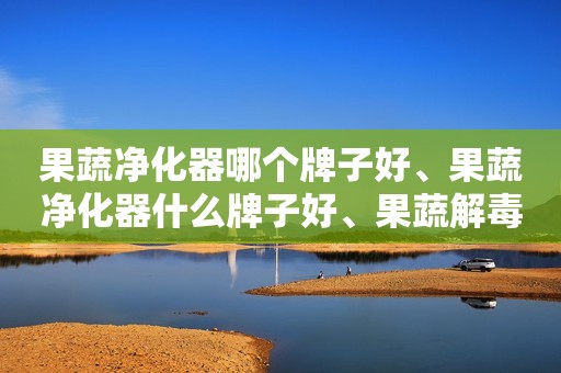 果蔬净化器哪个牌子好、果蔬净化器什么牌子好、果蔬解毒机什么牌子好