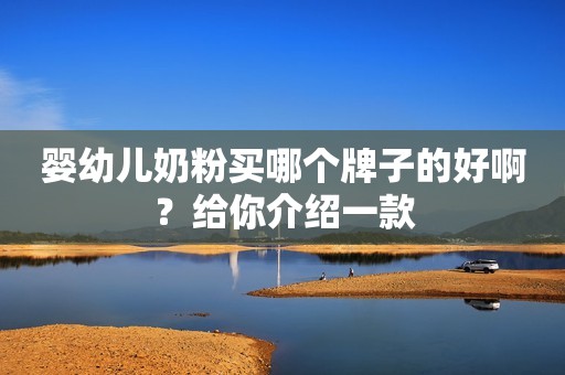 婴幼儿奶粉买哪个牌子的好啊？给你介绍一款