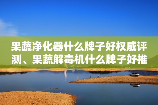 果蔬净化器什么牌子好权威评测、果蔬解毒机什么牌子好推荐