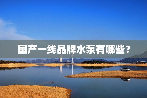 国产一线品牌水泵有哪些? 国产一线品牌水泵有哪些?