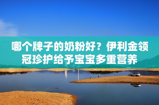 哪个牌子的奶粉好？伊利金领冠珍护给予宝宝多重营养