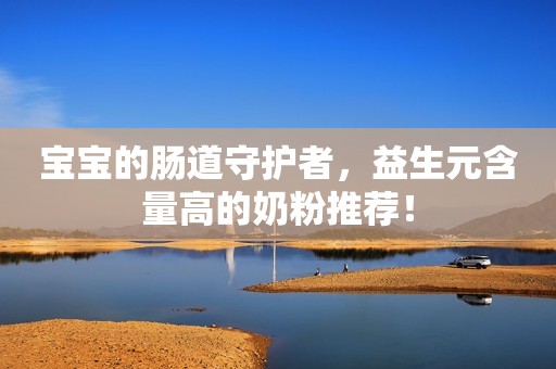 宝宝的肠道守护者，益生元含量高的奶粉推荐！