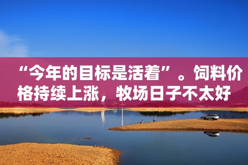 “今年的目标是活着”。饲料价格持续上涨，牧场日子不太好过