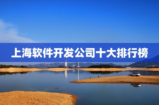 上海软件开发公司十大排行榜