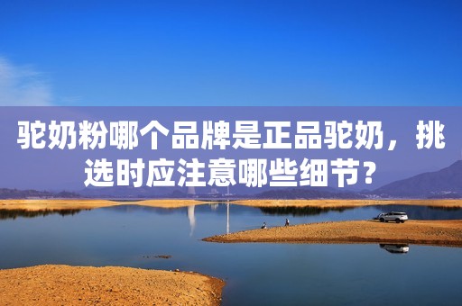 驼奶粉哪个品牌是正品驼奶，挑选时应注意哪些细节？