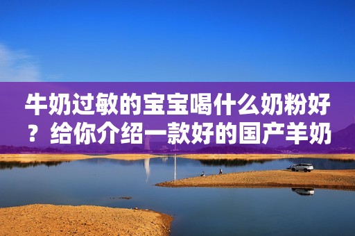 牛奶过敏的宝宝喝什么奶粉好？给你介绍一款好的国产羊奶粉