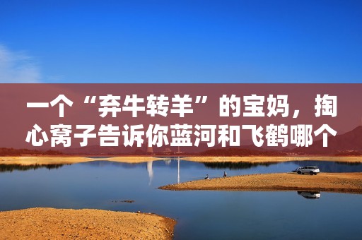 一个“弃牛转羊”的宝妈，掏心窝子告诉你蓝河和飞鹤哪个奶粉好？