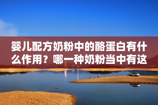 婴儿配方奶粉中的酪蛋白有什么作用？哪一种奶粉当中有这种物质