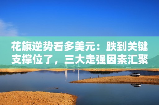 花旗逆势看多美元：跌到关键支撑位了，三大走强因素汇聚