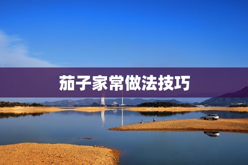 茄子家常做法技巧